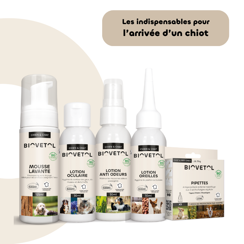 Les indispensables du Chiot