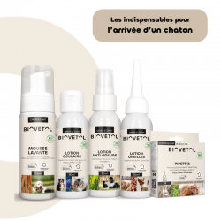 Les Indispensables du Chaton