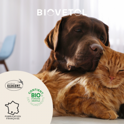 Shampooing solide Anti-Insectes bio