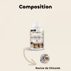 Probiotiques PROTECT'IMMUN chien +10kg bio