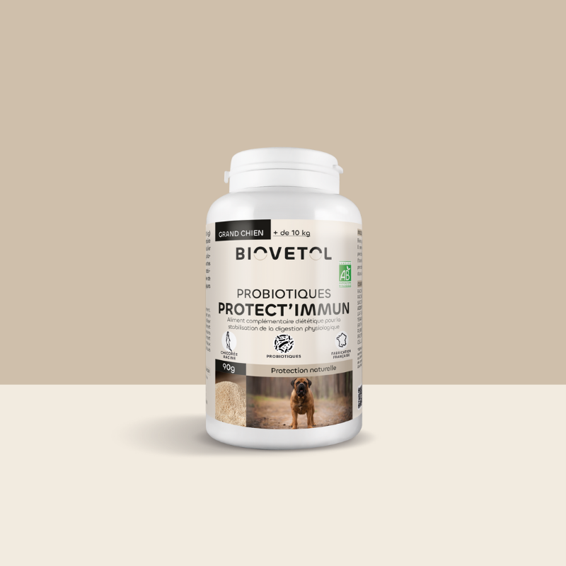 Probiotiques PROTECT'IMMUN chien +10kg bio