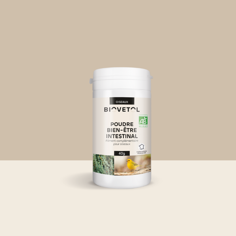 Poudre bien-être intestinal oiseaux bio