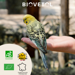 Poudre bien-être intestinal oiseaux bio