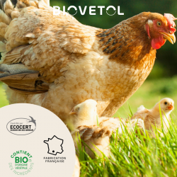 Poudre Anti-poux Basse-cour bio