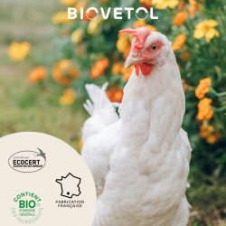 Lotion Anti-poux Basse-cour