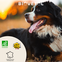 Comprimés Bien-être Intestinal - Moyen & Grand chien bio