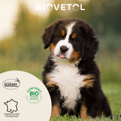 3 Pipettes insectifuges - Chiot / Petit Chien bio