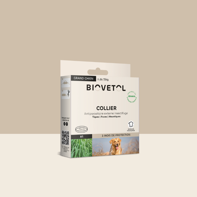 Collier insectifuge - Grand Chien