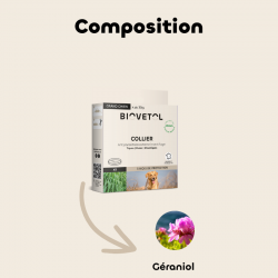 Collier insectifuge - Grand Chien