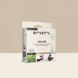 Collier insectifuge - Chat