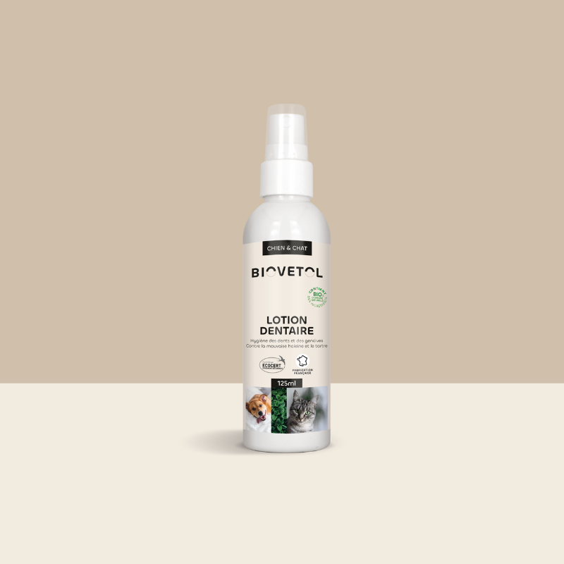Lotion Dentaire bio