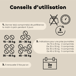 Comprimés Bien-être Intestinal - Moyen & Grand chien bio
