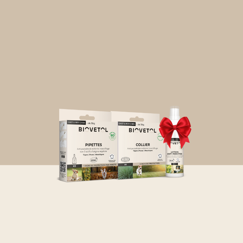 Pack antiparasitaire Petit chien
